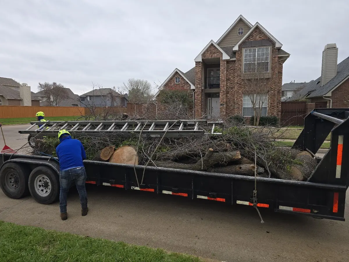 Expert Crown Reduction with proper safety equipment in Parker